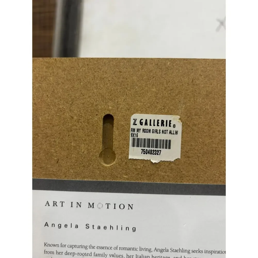 Art in Motion- Angela Staehling 16 x 9 plaque My Room Girls Not Allowed NWT